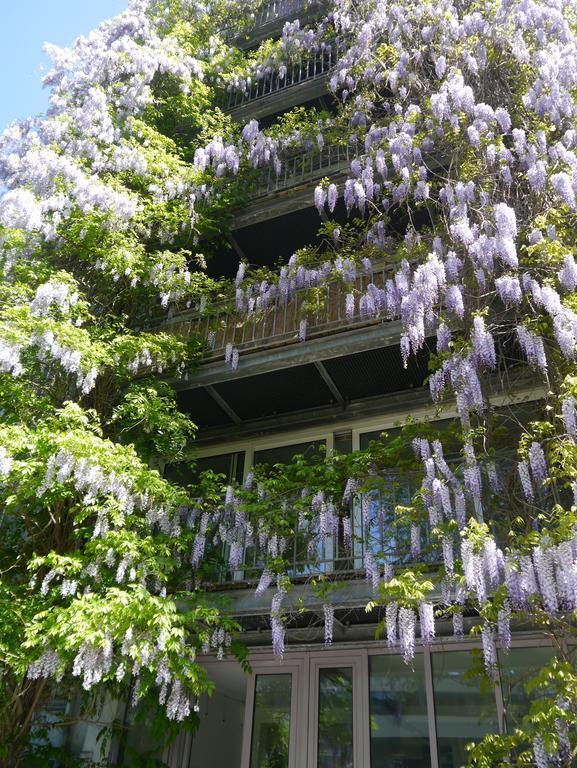 ปัลลัซโซ อัลฟอนโซ Apartment อาเคิน ภายนอก รูปภาพ